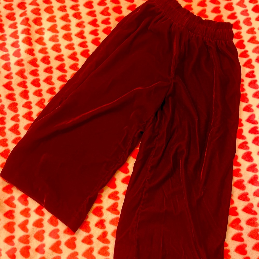 Janie and Jack size 4 burgundy velour pants